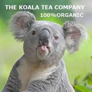 living with koalas and Koala tea