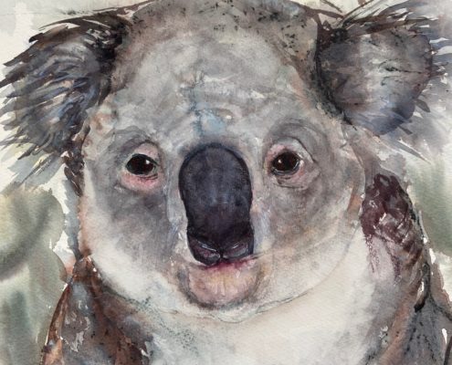 Living with Koalas artist Lorraine BROWN