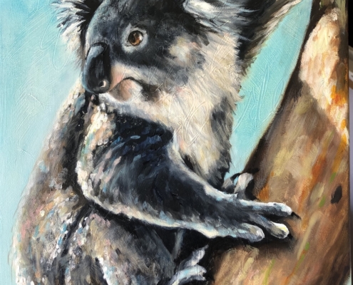 Living with Koalas artist Catherine Clark Dowden