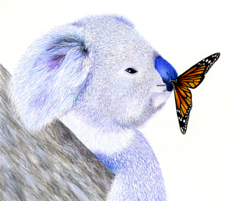 Living with Koalas artist Nicole GRIMM-HEWITT