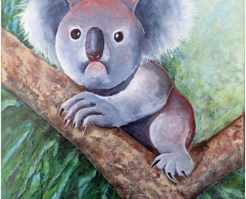 Living with Koalas artist marta Blaszak