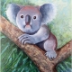 Living with Koalas artist marta Blaszak