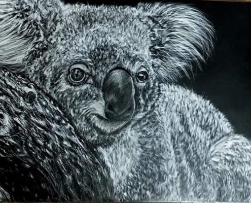 Living with Koalas artist Cassie Broker