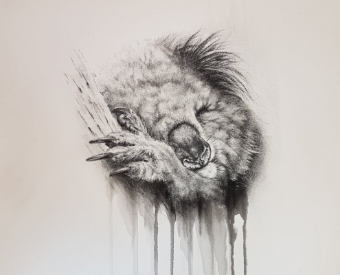 Living with Koalas artist Sharon Moroney