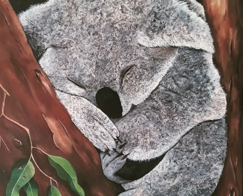 Living with Koalas artist - Sue Borg