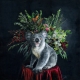 Living with Koalas artist - Melissa hartley