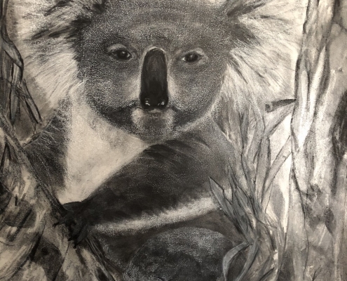 Living with Koalas artists - Kerrie Anne Rawson