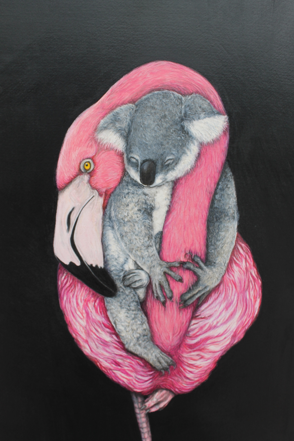 Living with Koalas artist - Ronelle Reid