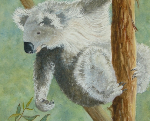 Living with Koalas artist - Densie Smith