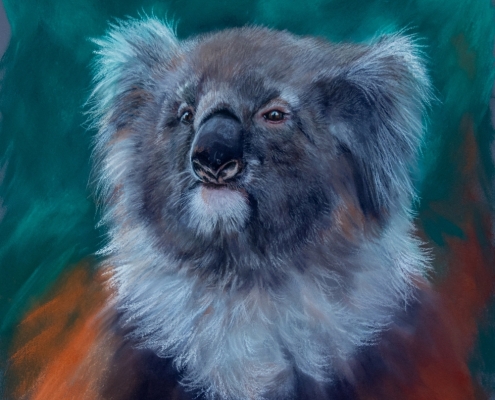 Living with Koalas artist Deb Farrimond