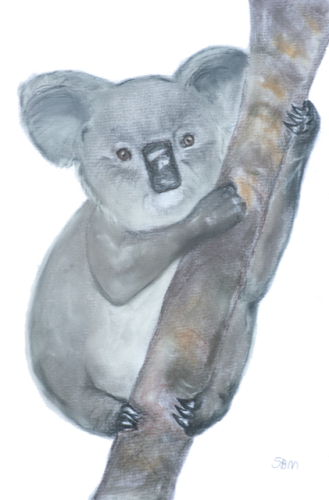 Living with Koalas artist: Sebastian BUSTOS MAMOOTAL